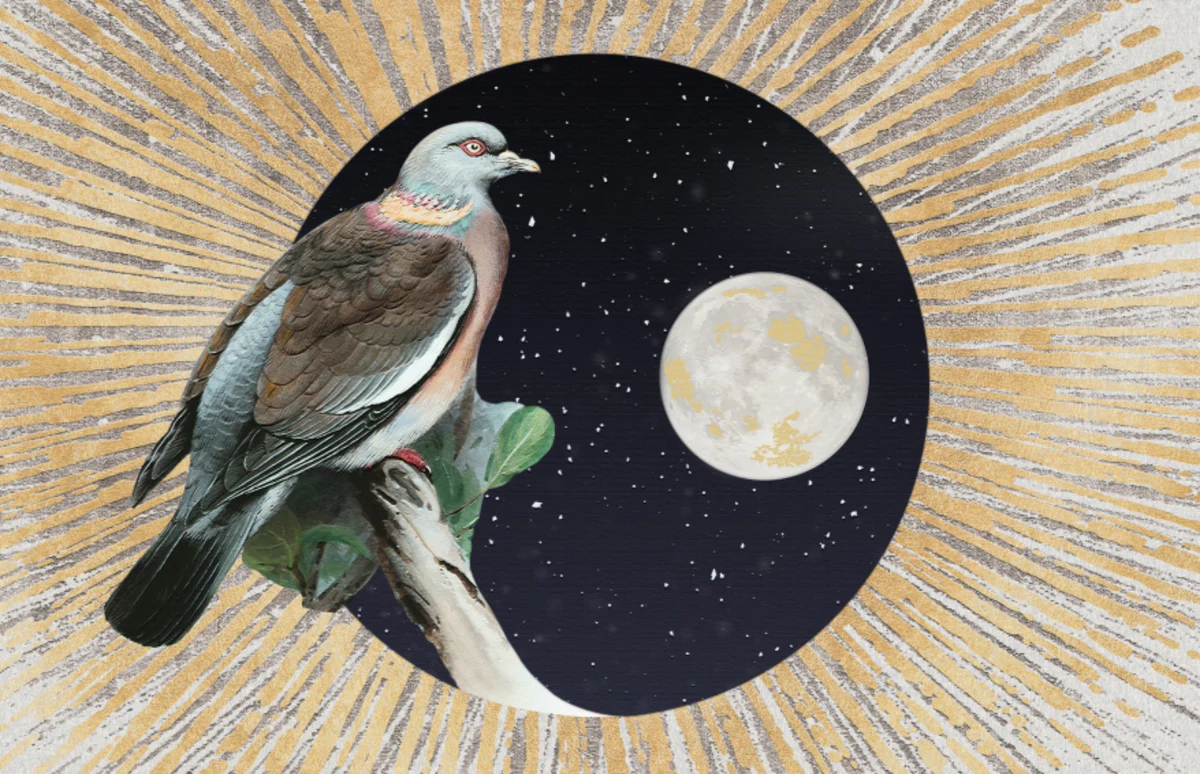 Moon Bird Art Wall Mural Alternate View